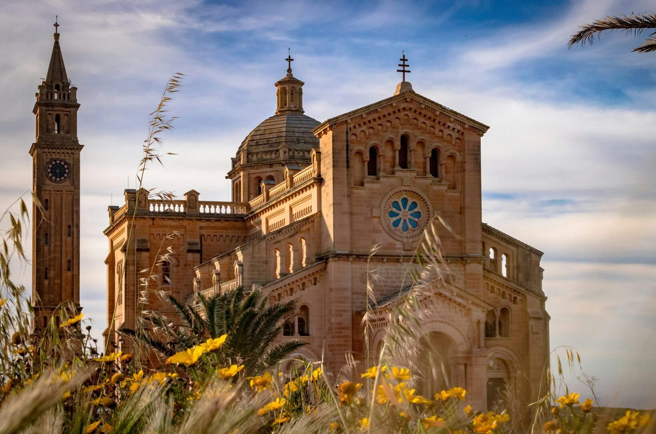 mars-immigrant-2sThcWd2Qbg-unsplash